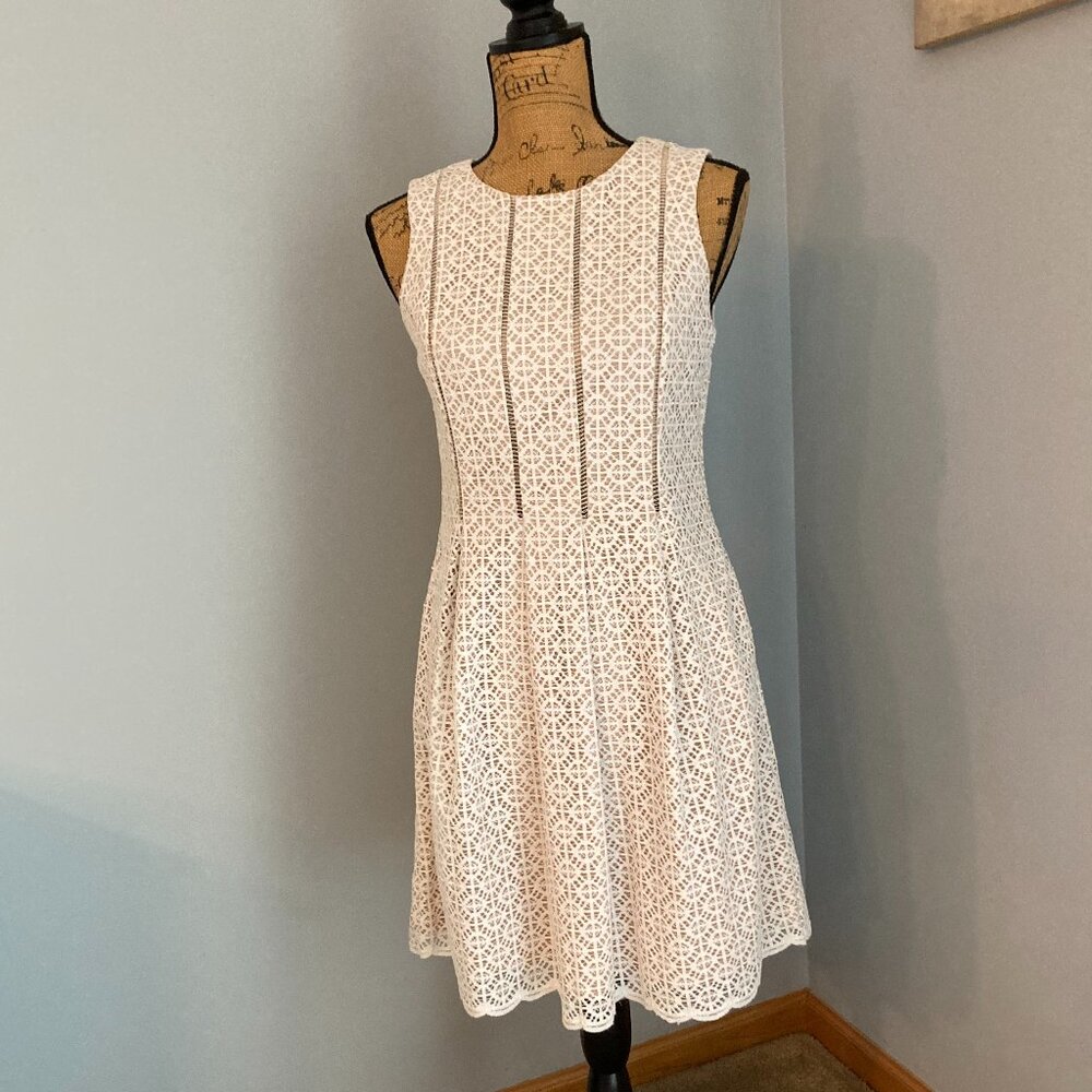 Jessica Howard Lace Fit & Flare Dress 6P Tan/Cream